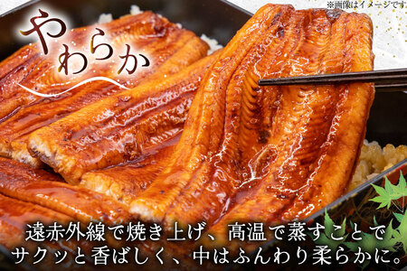 うなぎ 国産 蒲焼 定期便 145g前後 2尾 3回 総計6尾 真空パック タレ 山椒 付き 冷凍 [マルニうなぎ加工 静岡県 吉田町 22424474]
