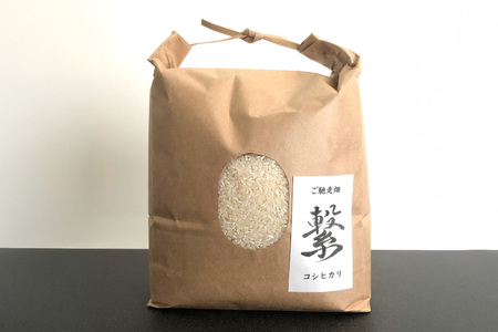 【期間限定発送】 米 令和7年 コシヒカリ 4.5kg [ご馳走畑 静岡県 吉田町 22424520]