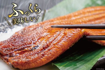 うなぎ 国産 静岡 定期便 蒲焼 2尾 & 白焼 2尾 3回 総計12尾 食べ比べセット [大井川うなぎ 静岡県 吉田町 22424563]