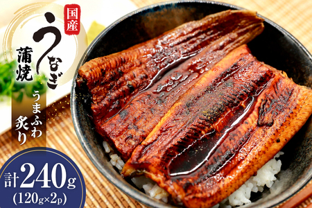 うなぎ 国産 蒲焼 うまふわ炙り(R) 120g 2パック 計240g 冷凍 真空パック [ヤマカ松本商店 静岡県 吉田町 22424487]