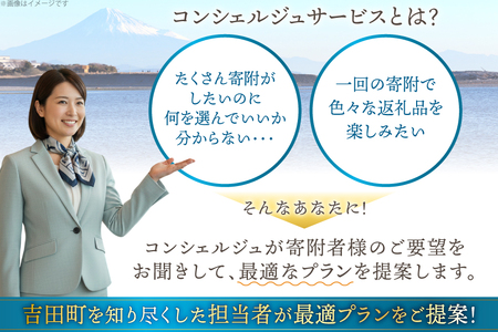 【あなただけの返礼品をお届け!】 コンシェルジュ サービス 寄附金額 30万円 オーダーメイド プラン [結デザイン有限会社 静岡県 吉田町 22424694]