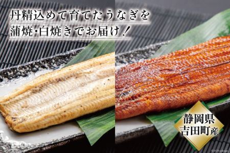 うなぎ 国産 静岡 うなぎ蒲焼 白焼 各130g 以上×2 計 4尾 タレ 山椒 付き [大井川うなぎ 静岡県 吉田町 22424462]