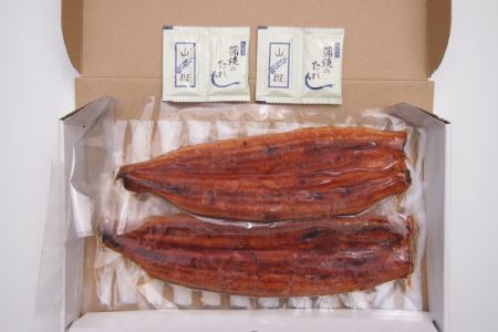 国産うなぎ 蒲焼 2尾 セット 200g×2 タレ付き [むらた商会 静岡県 吉田町 22424002]