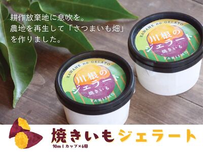 11-80 焼きいもジェラート（90mlカップ×6個）