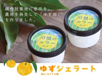 11-81 ゆずジェラート（1バルク 2000ml）