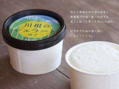 11-81 ゆずジェラート（1バルク 2000ml）