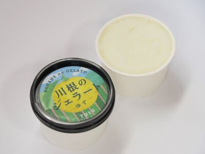 11-81 ゆずジェラート（1バルク 2000ml）
