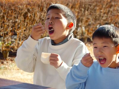 17-8　焼きいもジェラート（1バルク 2000ml）