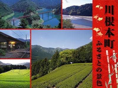 11-11 地場産 四季の里セットA