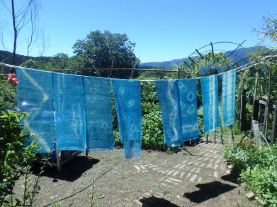 11-37 いつでもおいで四季の郷 川根本町 自然体験プログラム3000円セット