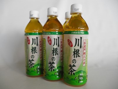56-1【定期便】「川根の茶」ペットボトル　毎月1ケース×4ヶ月