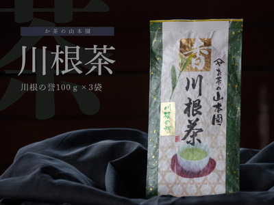 11-50 特上煎茶　川根茶「川根の誉」セット　100g×３袋