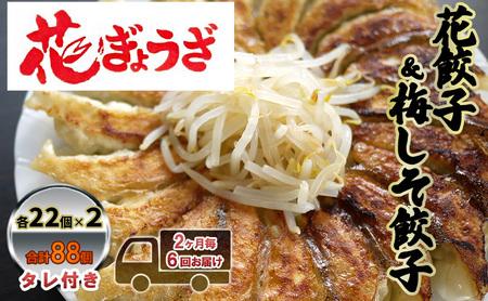 花餃子(22個入×2袋)と梅しそ餃子(22個入×2袋)のセット 2ヶ月毎6回お届け 惣菜 冷凍餃子 中華 夕飯 夜ごはん おかず 食べ比べ おつまみ ビールのおつまみ 12,480円
