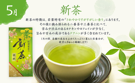 （定期便）農林水産大臣賞・日本茶AWARD入賞専門店のお茶A