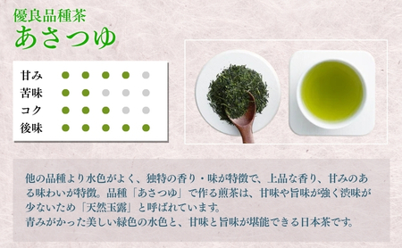 上煎茶飲み比べセット（深山・ふくよ香・アサツユ・サエミドリ・掛川茶 各100g） 飲料類 お茶 茶葉 詰め合わせ 