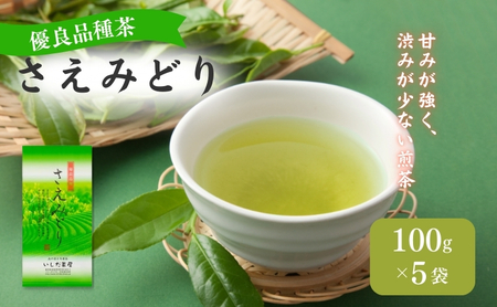 優良品種茶 さえみどり 100g入 5袋 飲料類 お茶 煎茶 日本茶 セット 詰め合わせ 茶 茶葉 静岡茶 緑茶 お茶っぱ 静岡のお茶 飲料 飲み物 ドリンク ギフト 贈答用 贈り物 プレゼント 静岡 静岡県 森町