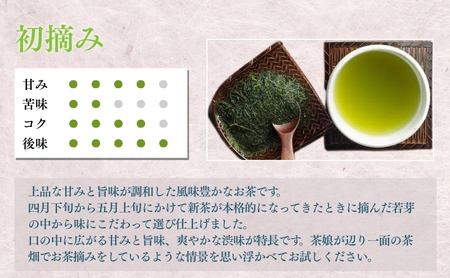 森の深蒸し茶詰合せ 飲料類 お茶 茶葉 日本茶 煎茶 