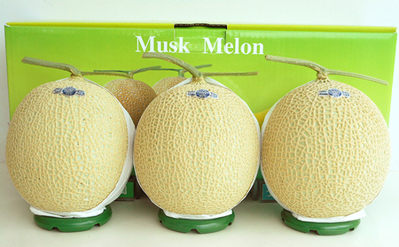 クラウンメロン 3玉 山等級 メロン 果物 フルーツ 旬の果物 旬のフルーツ 青肉 高級フルーツ マスクメロン 静岡 森町