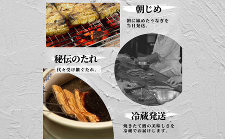 【創業1871年】浜名湖うなぎ 蒲焼1尾(125g前後)ミネラル成分豊富な水で育てた鰻