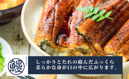 【創業1871年】浜名湖うなぎ 蒲焼1尾(125g前後)ミネラル成分豊富な水で育てた鰻