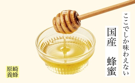 【春の花咲く】 国産 れんげ 蜂蜜 120g 無添加 無着色 非加熱 安心安全 こだわり はちみつ ハチミツ ハニー