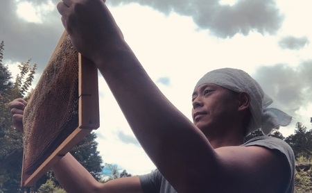 【春の花咲く】 国産 れんげ 蜂蜜 120g 無添加 無着色 非加熱 安心安全 こだわり はちみつ ハチミツ ハニー