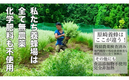 【春の花咲く】 国産 れんげ 蜂蜜 120g 無添加 無着色 非加熱 安心安全 こだわり はちみつ ハチミツ ハニー