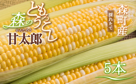 遠州森のとうもろこし 甘太郎
