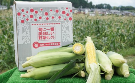 佐野ファームこだわりのとうもろこし「森のおおきみ」12本