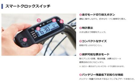 【2026年モデル】電動アシスト自転車 CRAIG ALLEY 20インチ メルティグラファイト