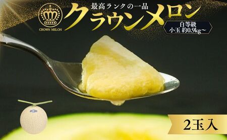 クラウンメロン 白等級 小玉 2玉詰 メロン 青肉 マスクメロン フルーツ 果物 青肉メロン 高級 高級メロン 静岡 森町