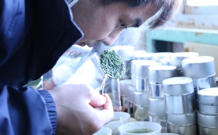 特選 定期便 12ヶ月 四季の茶だより 日本茶 100g 3本 セット 詰め合わせ お茶 茶 深蒸し茶 茶葉 緑茶 煎茶 お茶っぱ 静岡のお茶 飲料 飲み物 ドリンク 静岡 静岡県 森町 定期 12回