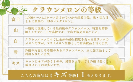 クラウンメロン 訳あり1玉 果物類 メロン青肉 フルーツ