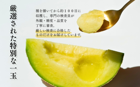 クラウンメロン 訳あり1玉 果物類 メロン青肉 フルーツ