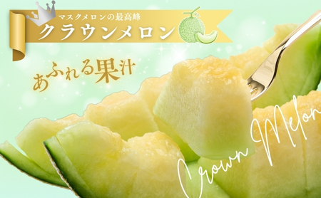 【12か月定期便】クラウンメロン 訳あり1玉