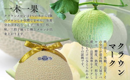 【12か月定期便】クラウンメロン 訳あり1玉