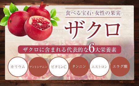 世界の果樹園® 美ボディ酵素ドリンク(5倍希釈用)720ml 85種の野草・果物・海藻 リニューアル致しまして新登場!!