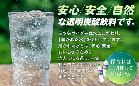 アサヒ三ツ矢サイダー500mlPET 24本入 2ケース