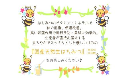 なごやの天然はちみつ瓶600ｇ×2本セット