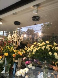 【定期便 24回】【月2回お届け】季節のおまかせフラワーアレンジメント