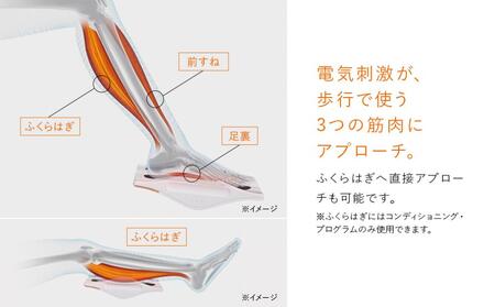 SIXPAD Foot Fit ３ Heat | 愛知県名古屋市 | ふるさと納税サイト ...