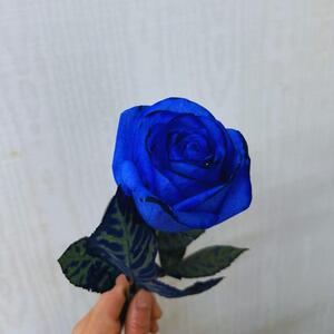 幸せの青いバラ【オリジナルBOX入り】