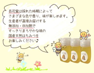 なごや天然はちみつボトル300g×3セット