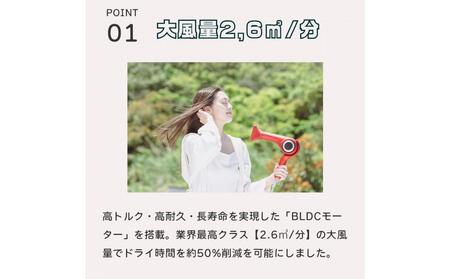 ラディアントヘアドライヤー　ディモア『オフホワイト』