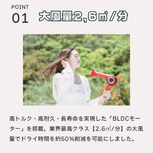 ラディアントヘアドライヤー ディモア『インディゴブルー』