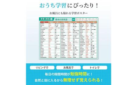 学習ポスター　英語　中学二年　基本の英単語【A4ユポ紙6枚＋A4コート紙6枚セット】