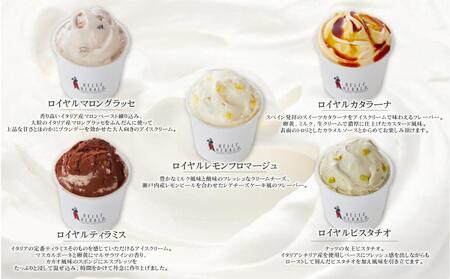 【贅沢な美味しさ!】10種類が味わえる、ベルヘラルド高級ロイヤルアイスクリーム詰め合わせギフト