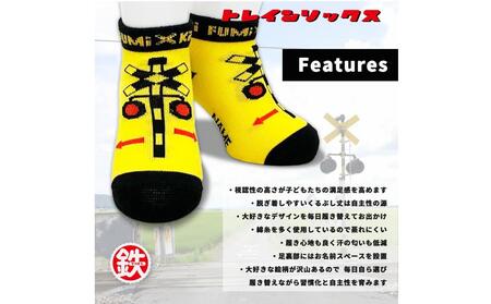 鉄道グッズセット（モクパズルくるま・子ども用鉄道くつした）