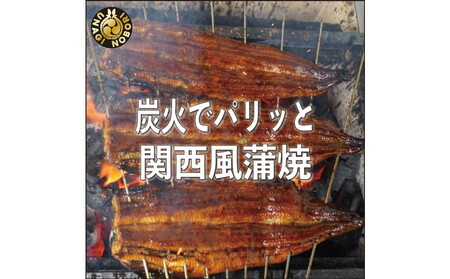 【愛知県産】特大うなぎの蒲焼き(きざみ)