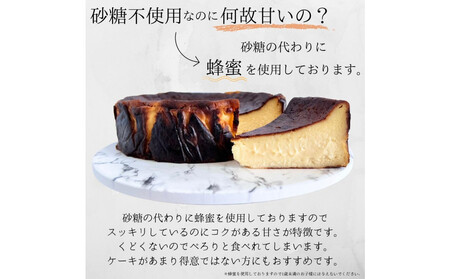 とろける2層のバスクチーズケーキ2個セット(プレーン・カカオ)